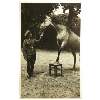 Wehrmacht horseman. Espenlaub militaria
